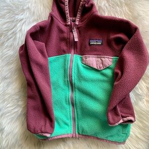 Patagonia Micro D Snap-T Fleece Jacket